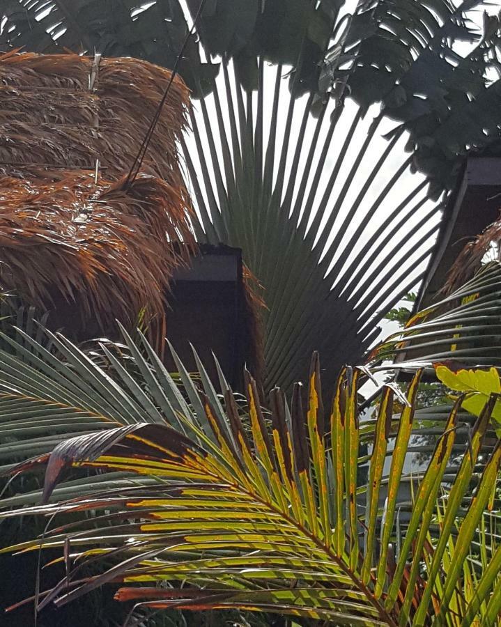 Sabandy Guesthouse Kuah Kültér fotó